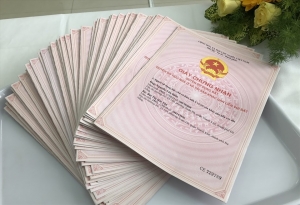 đấu giá quyền sử dụng 20 ô đất trên địa bàn thị xã Đông Triều, tỉnh Quảng Ninh 